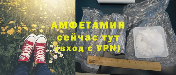 дмт Протвино