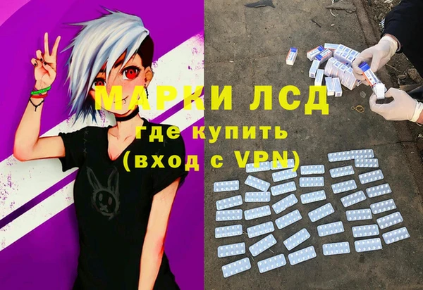 дмт Протвино