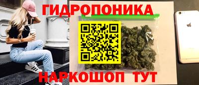 ешки Моздок