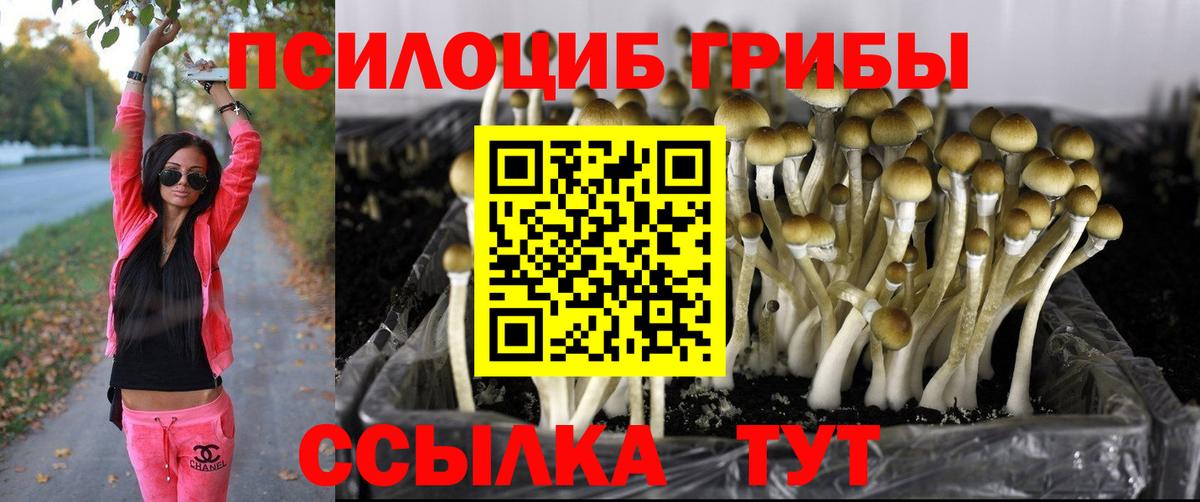 Псилоцибиновые грибы мицелий Холмск